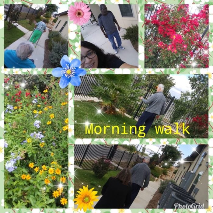 A quiet morning walk through the Seasons garden.