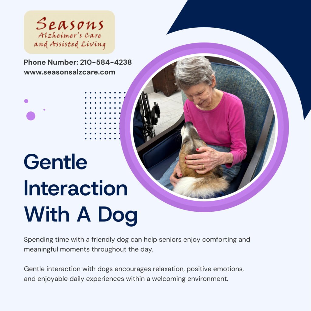 Friendly moments with dogs help create relaxing and heartwarming experiences for seniors each day. 🐶🌿💖 Gentle pet interaction encourages positive engagement and enjoyable companionship…